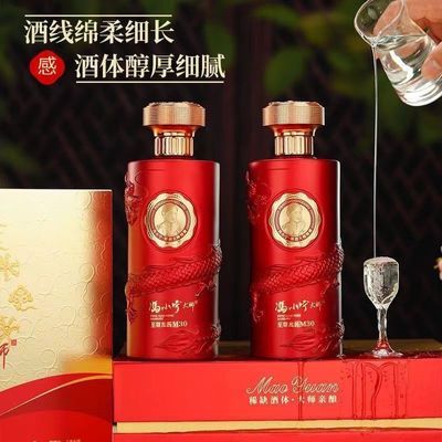 冯小宁大师(至尊龙酱M30)龙年珍藏酱香白酒礼盒两瓶装53度