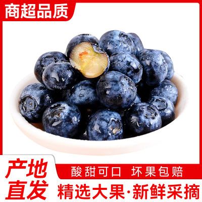 新鲜头茬山东蓝莓新鲜水果时令酸甜薄皮整箱盒装