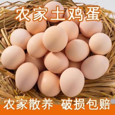 舌尖上的玉食散养正宗农家土鸡蛋50枚新鲜虫草月子蛋营养批发包邮