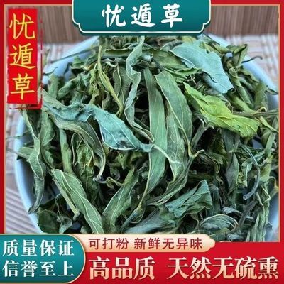 海南五指山忧盾草黎青茶鳄嘴花清火新鲜忧海南五指山中优盾草海南