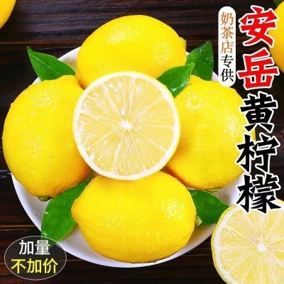 (商品果)四川安岳柠檬鲜果柠檬大果奶茶店