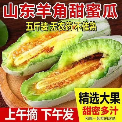 批发价】头茬羊角蜜甜瓜脆甜薄皮时令当季孕妇水果正宗博洋9香瓜