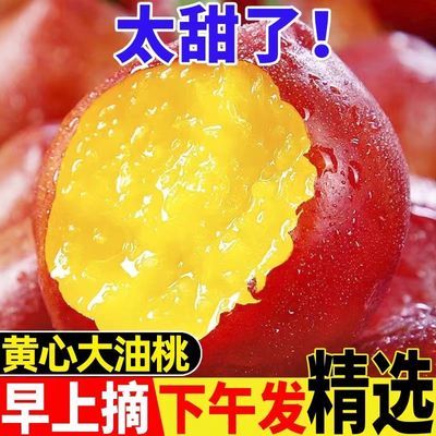 现摘】黄心油桃应季大桃子新鲜水果当季水密桃整箱孕妇蜜脆桃