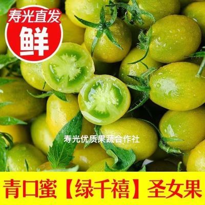 【现摘现发】优质青口蜜(无防腐剂),绿宝石小番茄新鲜圣女果