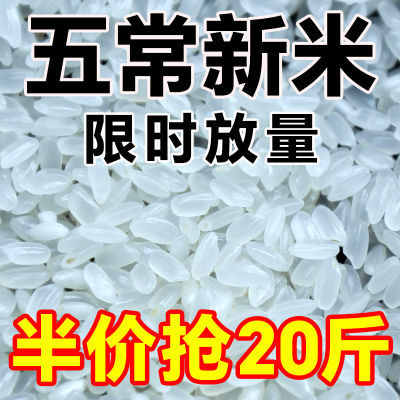 【实惠】正宗稻花香米优质五常大米新米稻花香米10斤20斤碧螺春茶