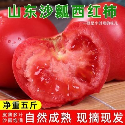 山东普罗旺斯生吃西红柿 新鲜沙瓤大番茄自然熟水果粉柿子3/5斤装