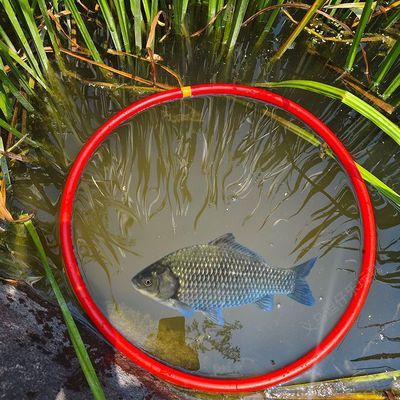 浮水圈挡水草专用圈塑料空心圈漂浮钓鱼浮萍隔离圈喂鱼投食悬浮圈