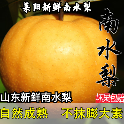 【XHGT】山东正宗南水梨现摘新鲜薄皮超甜大果梨子水果批发整箱