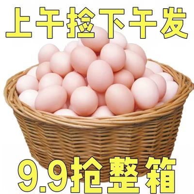 40枚土鸡蛋正宗林下散养新鲜原生态笨鸡蛋一整箱营养现捡现发10枚