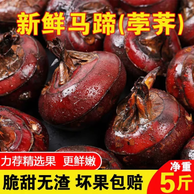 【超实惠】广西荔浦马蹄新鲜水果荸荠地栗超甜特大果农家土特产
