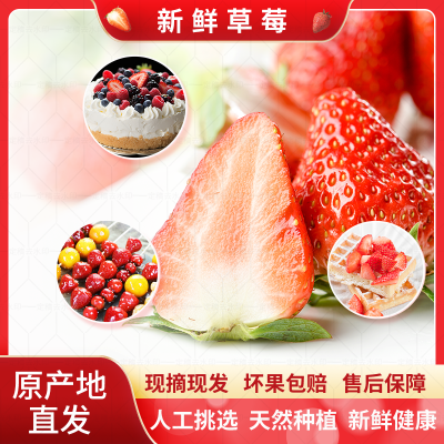 云南商用草莓新鲜现摘批发奶茶果酱牛奶果汁烘焙糖葫芦一整箱包邮