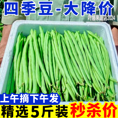 【超级低价】云南农家四季豆新鲜现摘蔬菜青豆刀豆批发价产地直达