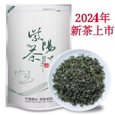 2024年陕南耐泡口粮陕西紫阳富硒茶产地绿茶紫阳毛尖高山茶紫阳茶