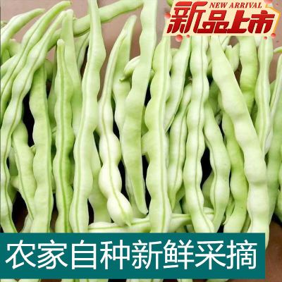 白不老豆角白架豆白大架白不老云南农家自种现摘新鲜蔬菜整箱包邮