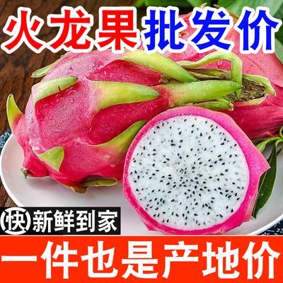 【当季】正宗越南白心火龙果批发进口热带水果新鲜包邮白肉非红心