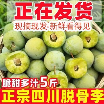 【现摘现发】四川青脆李子茵红李空心脱骨李土半边红新鲜当季水果