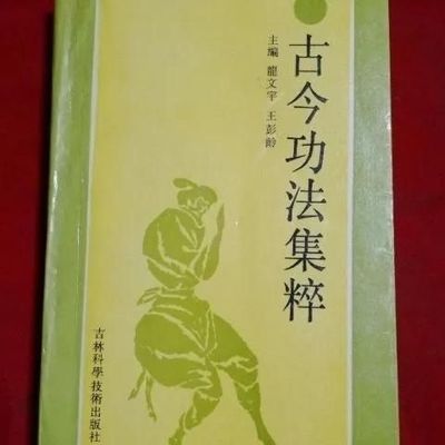 武术经典古今功法集粹 气功 龙文宇编吉林科学技术出版