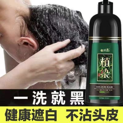 高档染发剂一洗黑植物洗发水黑色纯天然清水自己在家染黑色染发膏