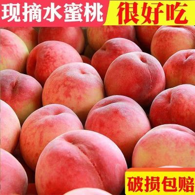 水蜜桃仿水果新品特大早熟南北方种植当年结果脆甜桃仿真水果