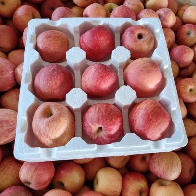 【CNBKLM】正宗烟台红富士苹果5斤装12-15枚更脆甜小