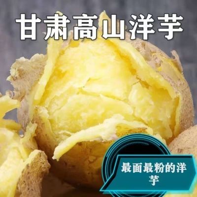 甘肃土豆定西黄心土豆马铃薯蔬菜当季黄皮粉糯即食种子原产地直发