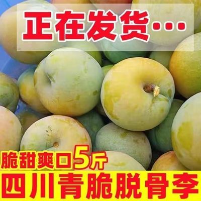 【发货中】四川青脆李子茵红李空心脱骨李半边红新鲜当季孕妇水果