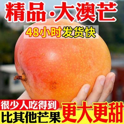 【爆甜】云南苹果芒彩虹澳芒当季新鲜水果特大号凯特芒果10斤批发