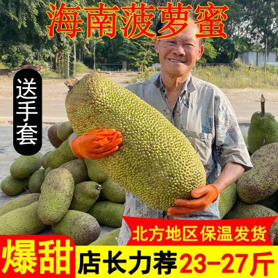 现摘海南菠萝蜜一整个新鲜水果批发价孕妇当季干苞黄肉木波罗包邮