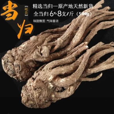 全当归个整根甘肃岷县农家非野生特级无硫当归可煲汤泡水特选