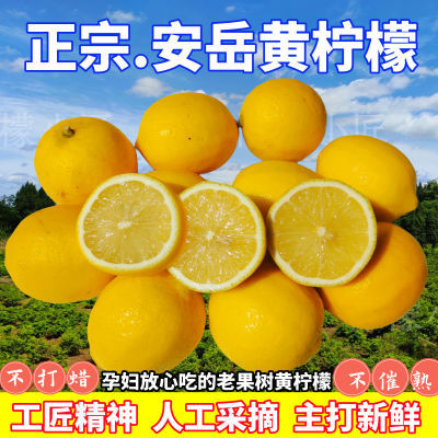 【小二推荐】安岳新鲜黄柠檬孕妇果当季新鲜大果不是无籽薄皮多汁