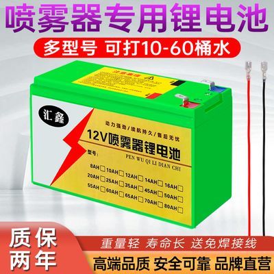 背负式电动喷雾器锂电池12v8ah农用大容量送风筒打药机12