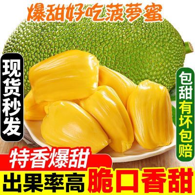 海南三亚黄肉菠萝蜜19斤起一整个新鲜水果木波罗蜜整箱批发价包邮