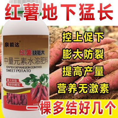 红薯控旺膨大素红薯专用肥地瓜增产叶面肥红薯增甜防裂高产万斤王