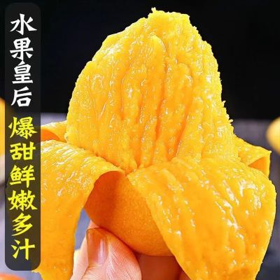 【超甜】芒果小台芒5斤海南新鲜台农水果树上熟大芒果贵妃金煌芒