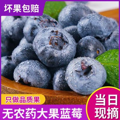 【现摘现发】爆浆蓝莓新鲜无籽水果现摘鲜果原产地直发孕妇125