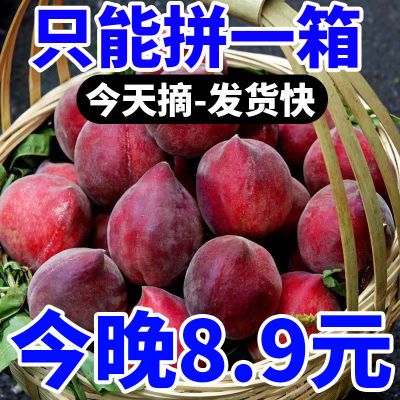 【超甜10斤批发】脆甜黑桃水果新鲜鹰嘴桃脆桃水蜜桃桃子1/5整箱