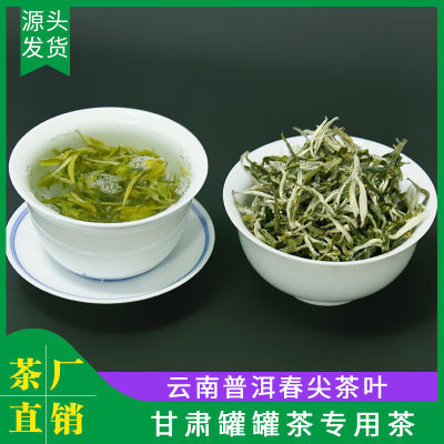 毛尖云南春尖茶叶绿茶2024新茶特级甘肃罐罐茶三炮台用茶茶园直供