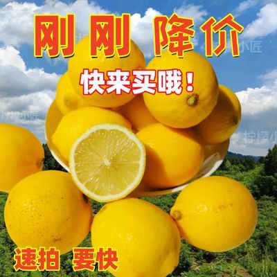 【柠檬果园】新鲜黄柠檬农家果园直发源头水果皮薄新鲜多汁奶茶店