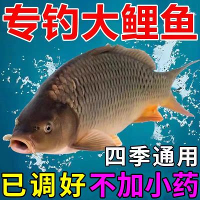 邓刚鲤鱼饵料【猛上鱼】野钓黑坑四季通用型鲤鱼专用钓饵料鱼饲料