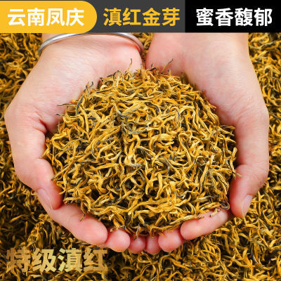 【滇红金芽】红茶特级滇红2024新茶云南凤庆古树金芽蜜香一芽