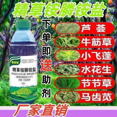 精草铵膦铵盐除草剂连根死果园荒地强力除草剂农药正品厂家直销