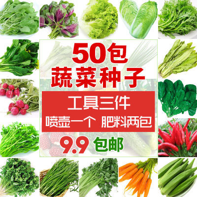 50款蔬菜种子四季播种青菜生菜西红柿小葱黄瓜种子阳台盆栽菜种子