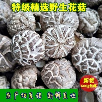 大花菇今年新货精选野生花菇干货特产剪脚500g椴木菇批发肉厚特级