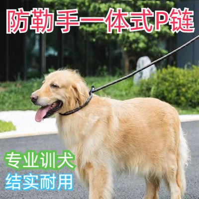 p链狗链耐用狗绳加粗中大型犬外出一体网红训练防爆冲可调节遛狗