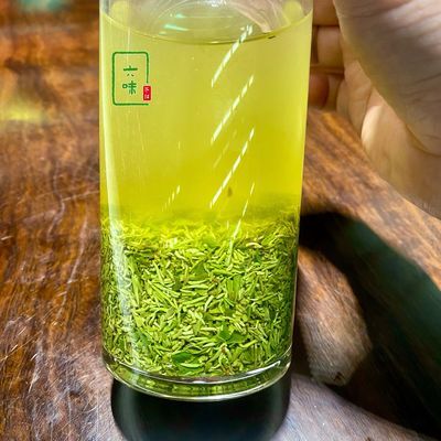 信阳毛尖明前雨前特级碎茶2024年新茶毛尖碎茶茶沫散装茶