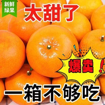 【现摘爆甜】正宗广西武鸣沃柑桔橘子超甜应季新鲜水果非丑橘10