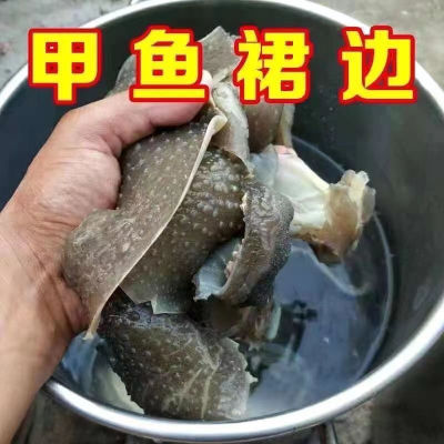 新鲜甲鱼裙边滋补煲汤水产食材甲鱼肉王八团鱼鳖裙边肉包邮袋装