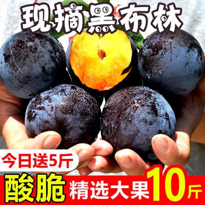 【酸脆】新鲜陕西黑布林李子水果孕妇当季水果多规格整箱批发包邮