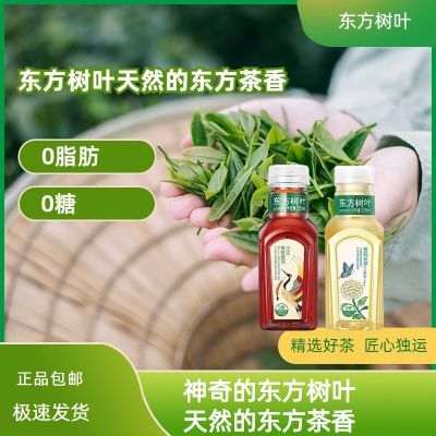 农夫山泉东方树叶茉莉花茶335ml乌龙茶茶饮料青柑整箱无糖小