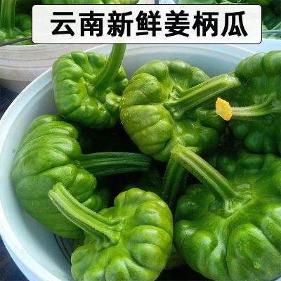 云南新鲜姜柄瓜小嫩瓜小麦瓜小南瓜小瓜食用蔬菜新鲜当季